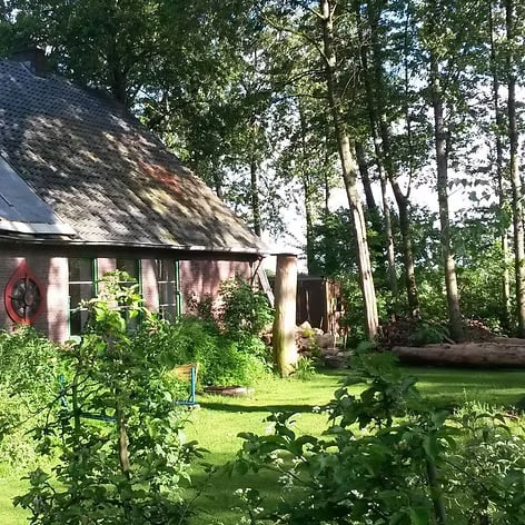 Žemės sąmoningumas