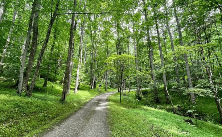 "Sanctuary Retreat Center