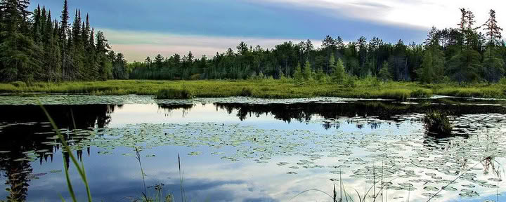 The Dharma Centre of Canada