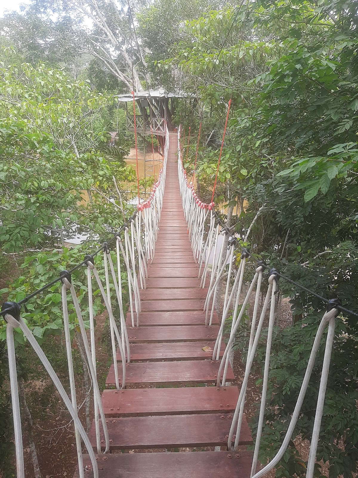 El Purguero Ayahuasca Retritas