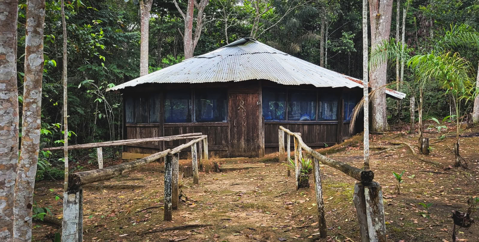 El Purguero Ayahuasca Retritas