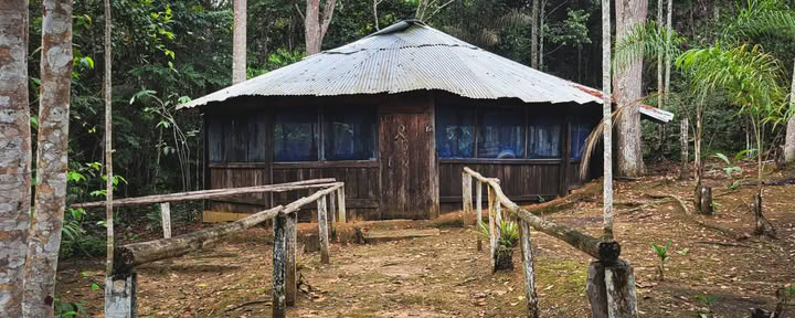 El Purguero Ayahuasca Retritas