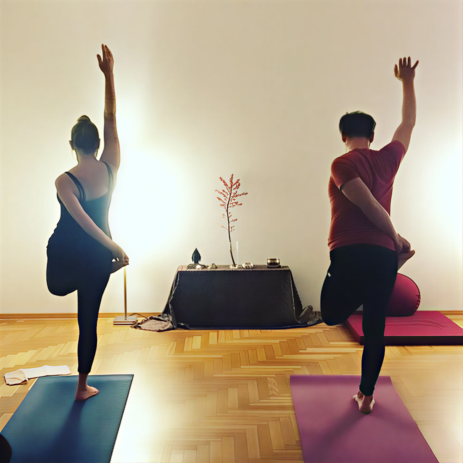 Jogos studija Surya | Ashtanga Vilnius