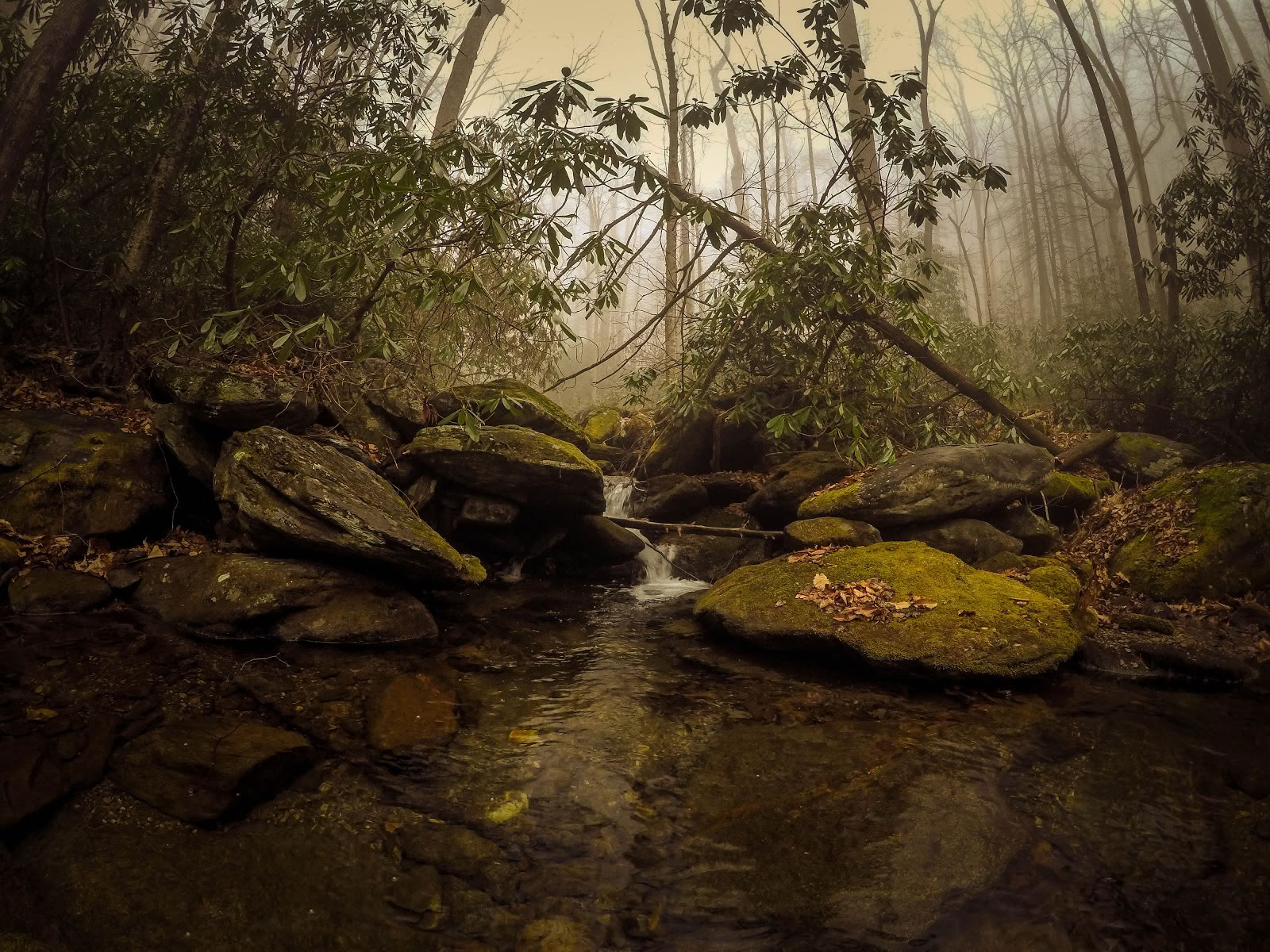 Indigo Nature Retritas