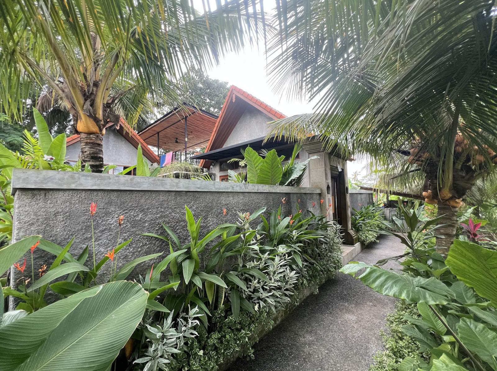 Sąmoningas Bali