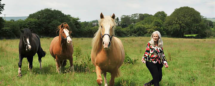 Epona retrito centras