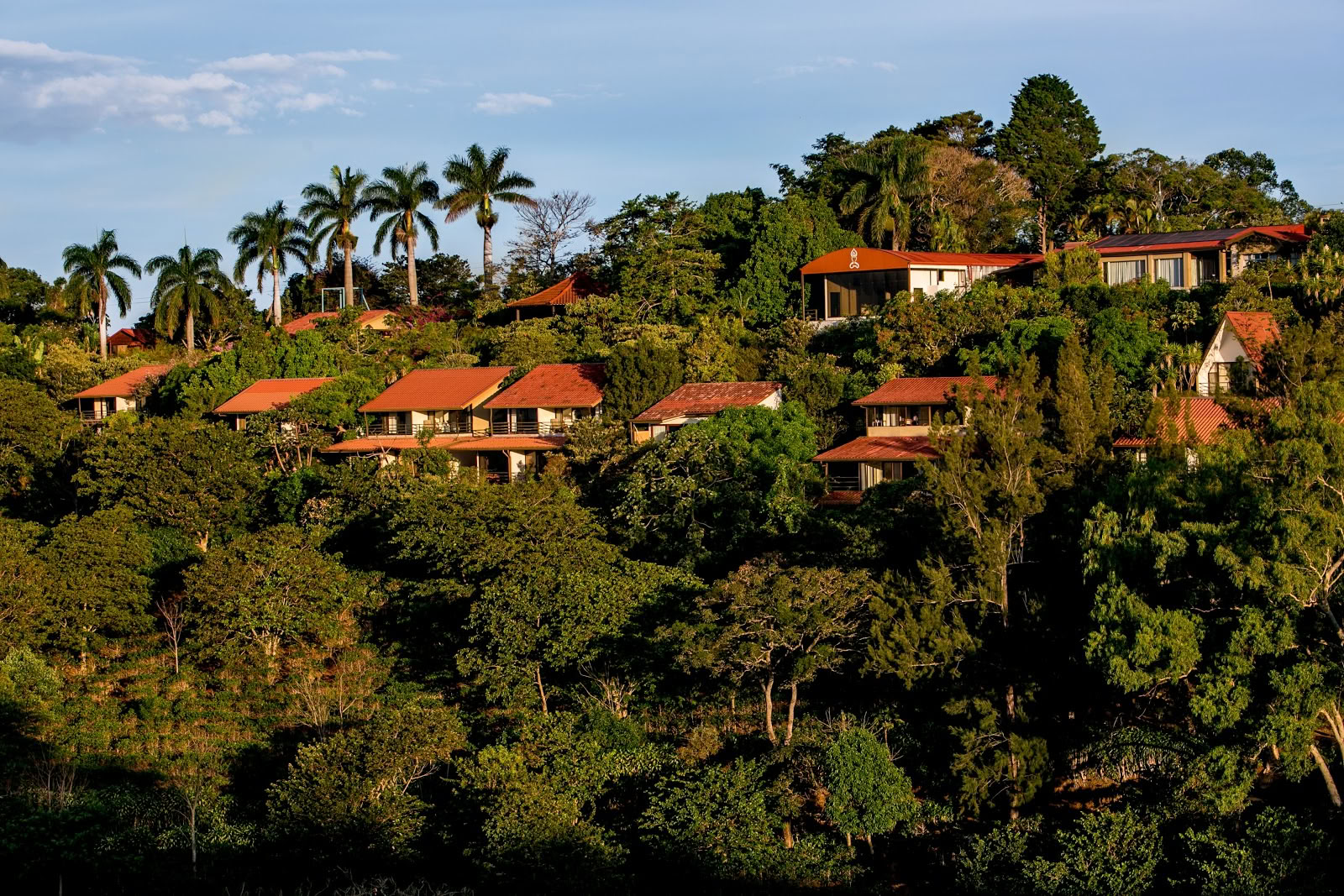 Pura Vida Retritas & SPA