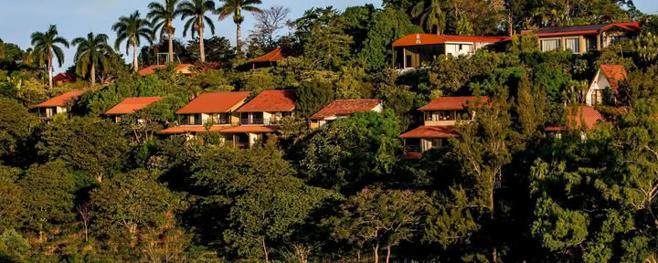 Pura Vida Retritas & SPA