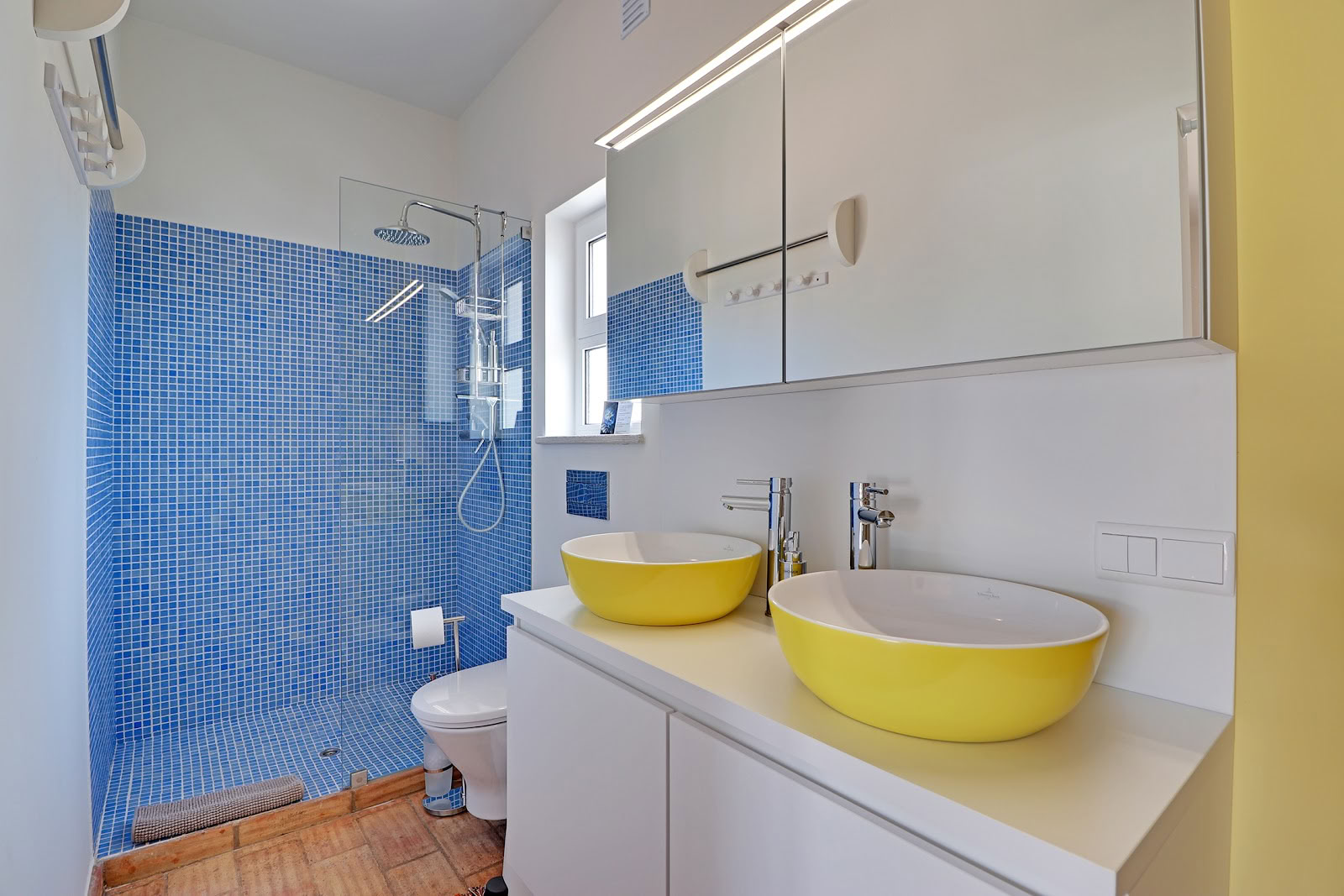Tylos sėklos