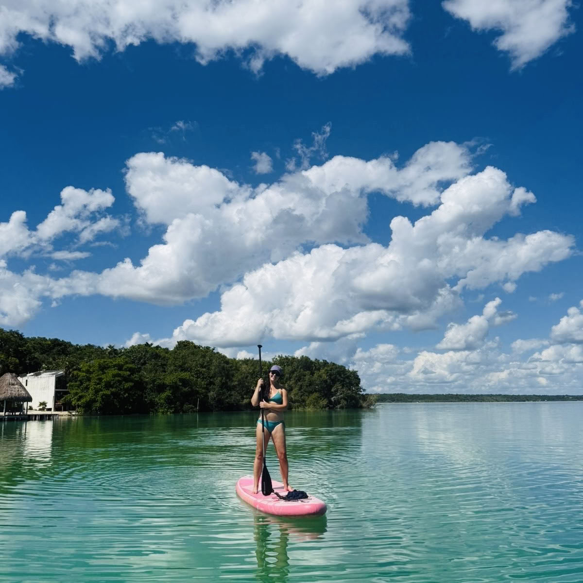 VIKARA WELLNESS Retritai ir holistinė sveikata