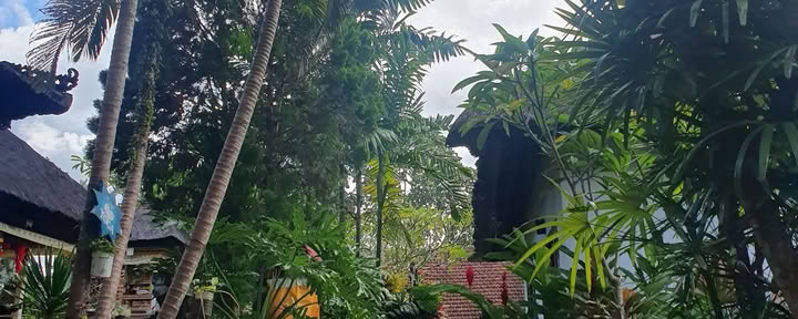 Bali Bliss Sveikatingumo Ubud centras