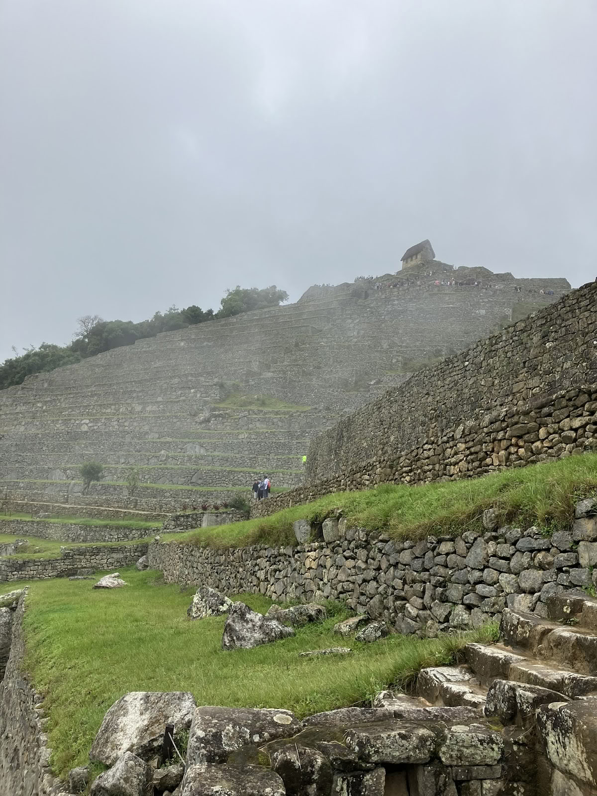 Onaya Ayahuasca retritas