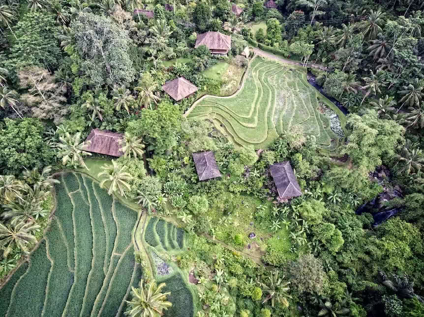 Purna Yoga Bali | Ashtanga jogos retritai ir mokymai