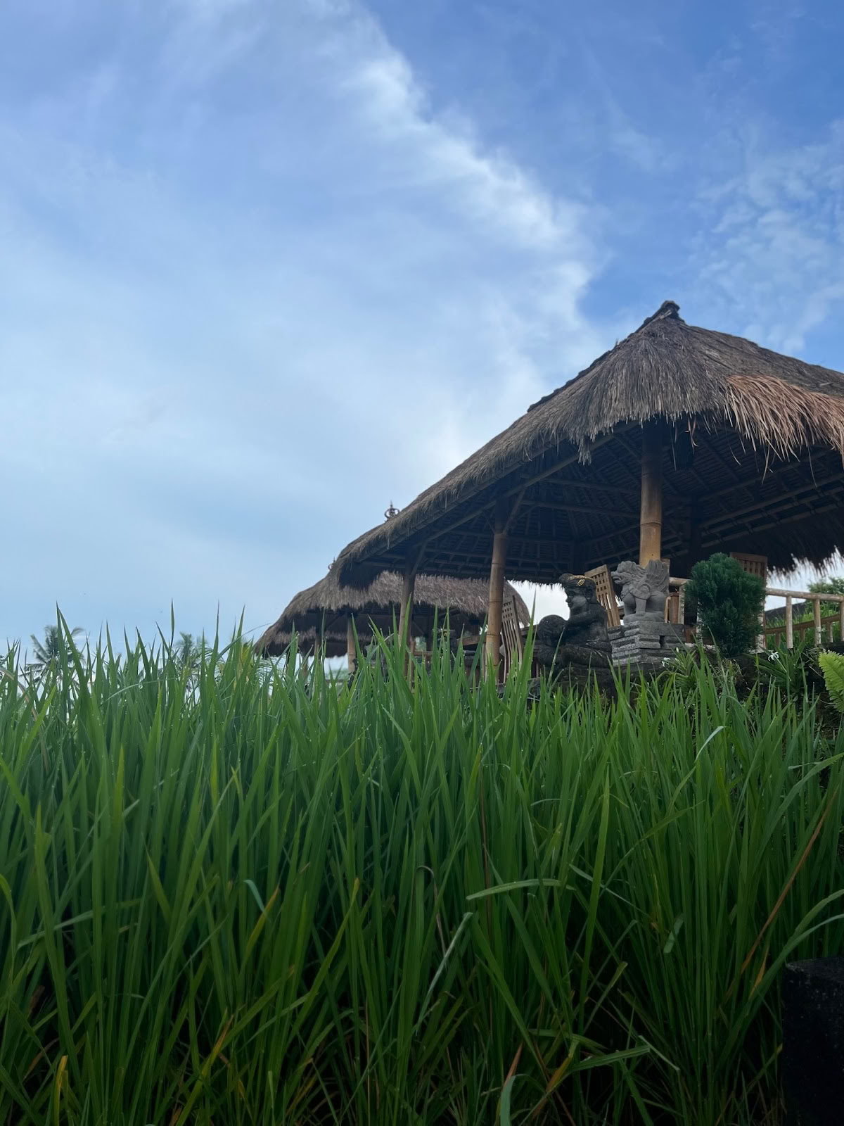 One Fit Sveikatingumo Bali