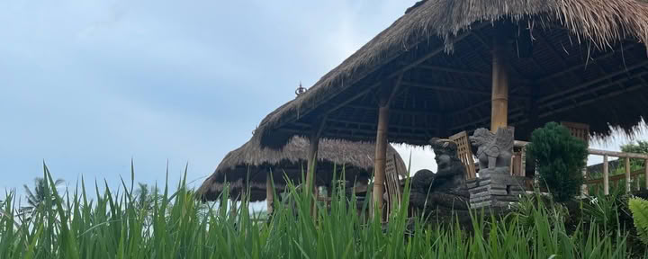 One Fit Sveikatingumo Bali