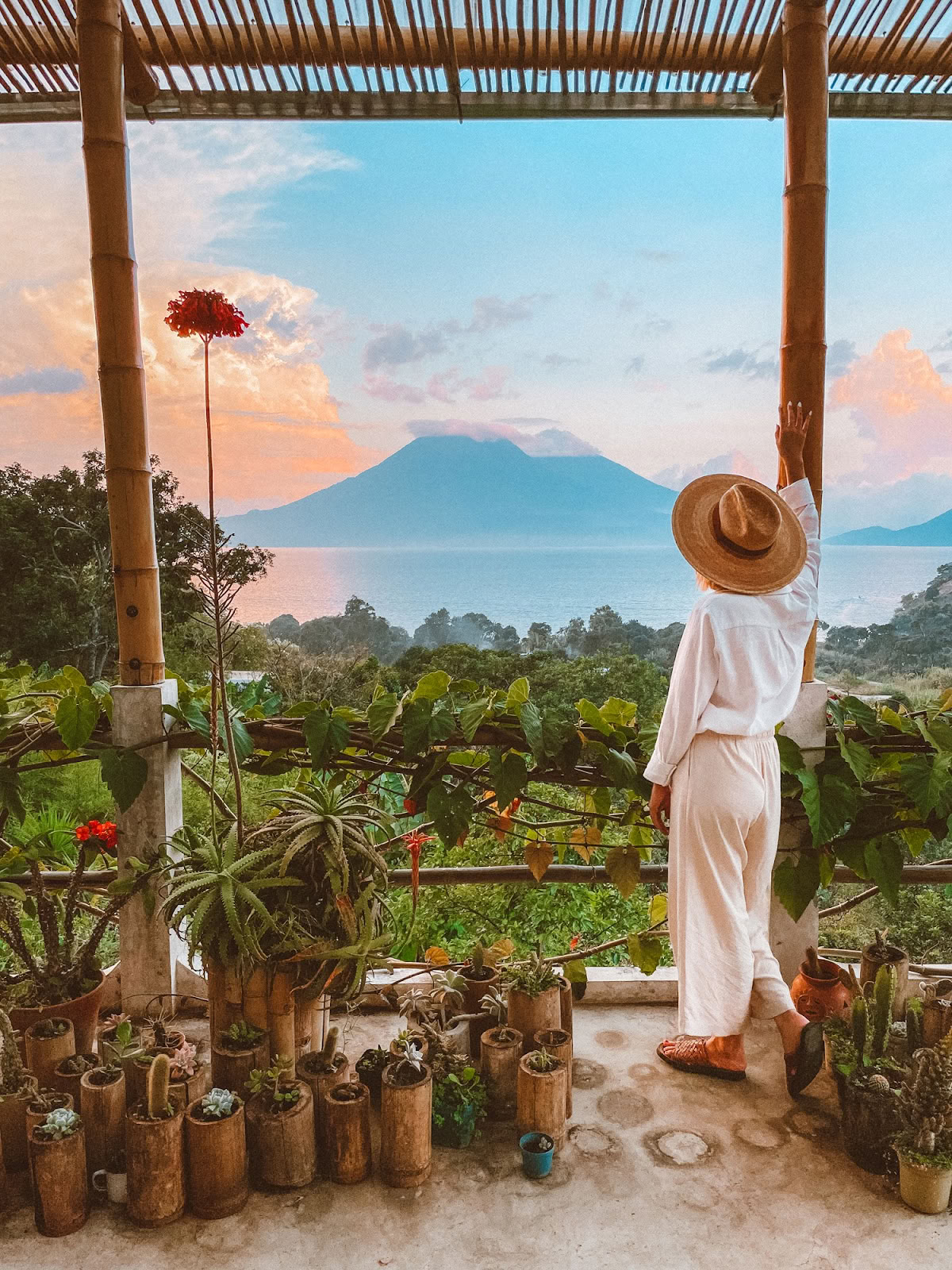 The Seed Habitat