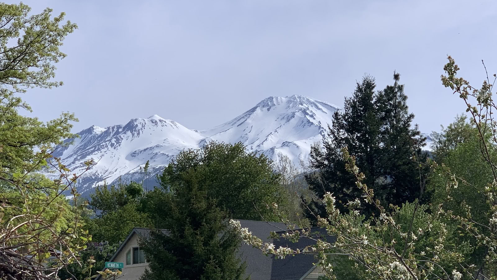 Mount Shasta retritai