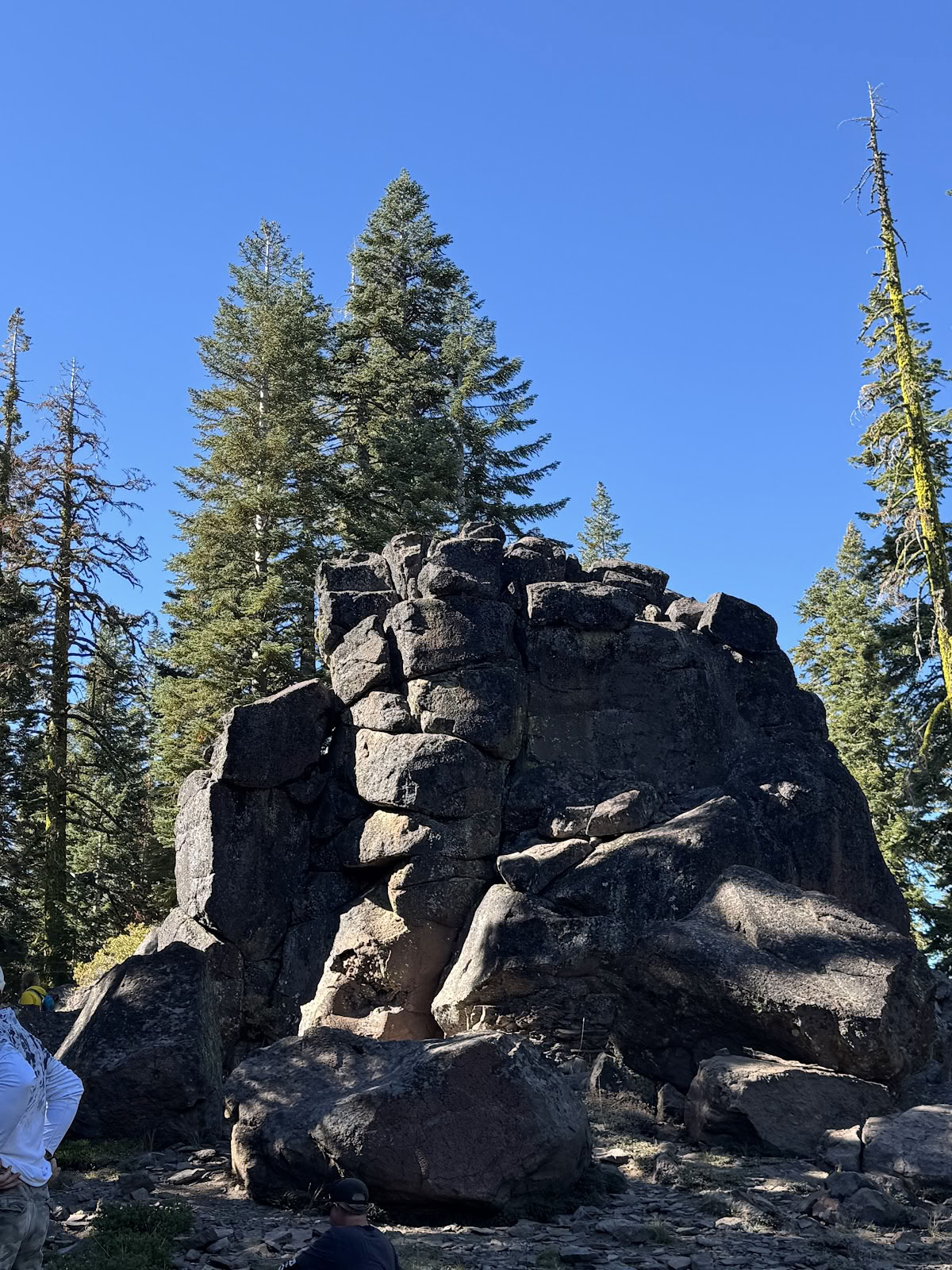Mount Shasta retritai