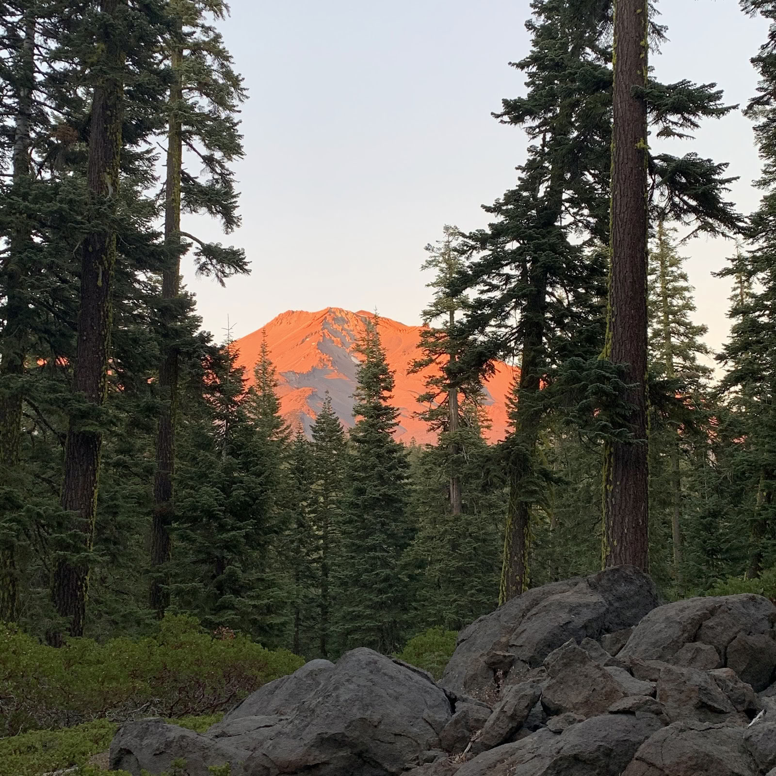 Mount Shasta retritai