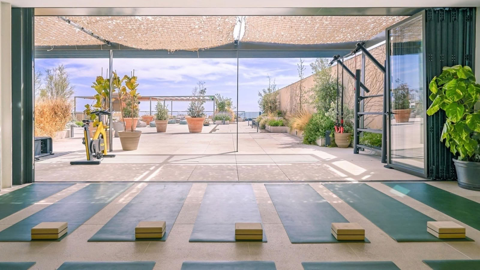 El Living Wellness | Fitnesas, pilatesas, joga ir asmeninės treniruotės