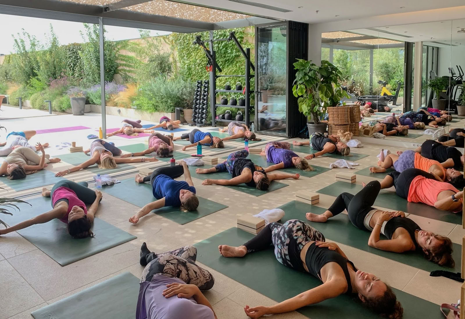 El Living Wellness | Fitnesas, pilatesas, joga ir asmeninės treniruotės