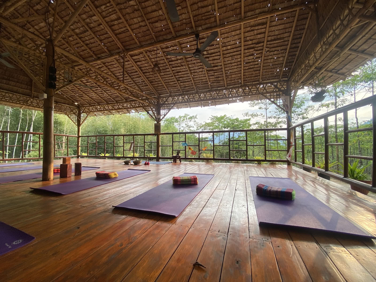 Khaosok Joga เขาสกโยคะ