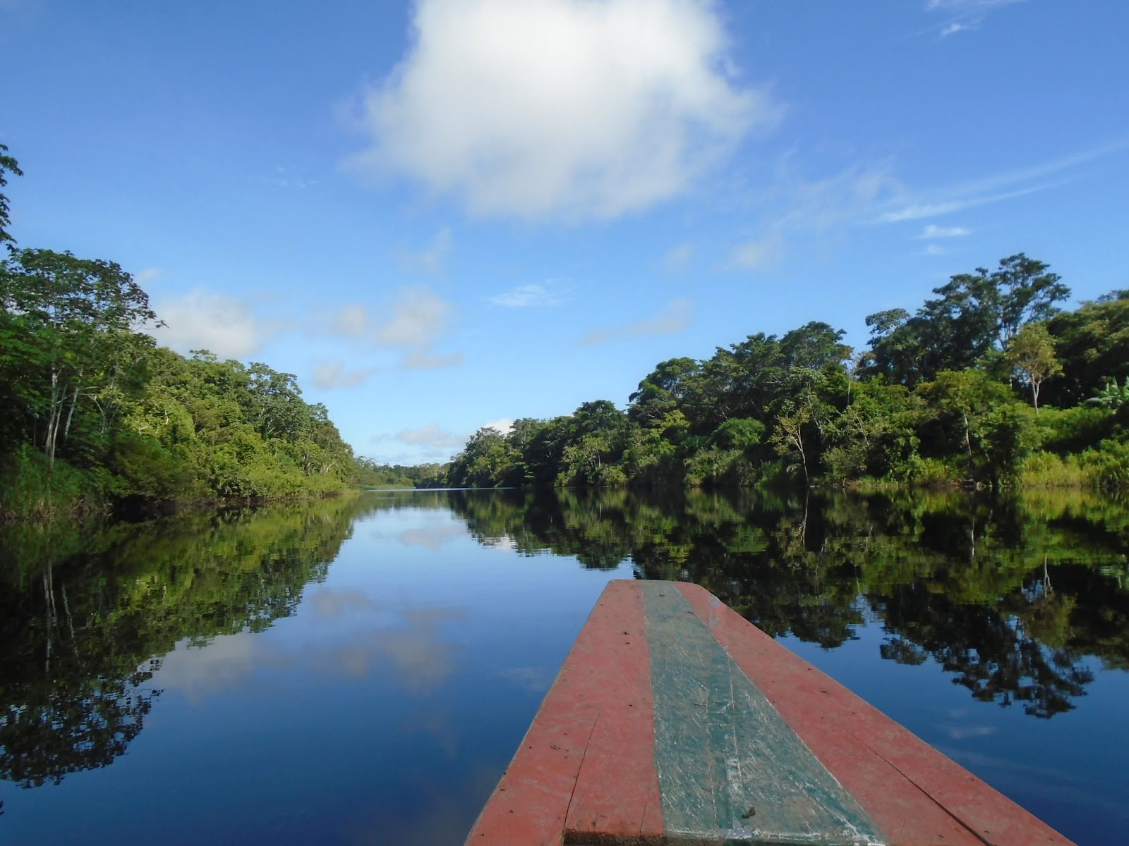 Amazon patirtis
