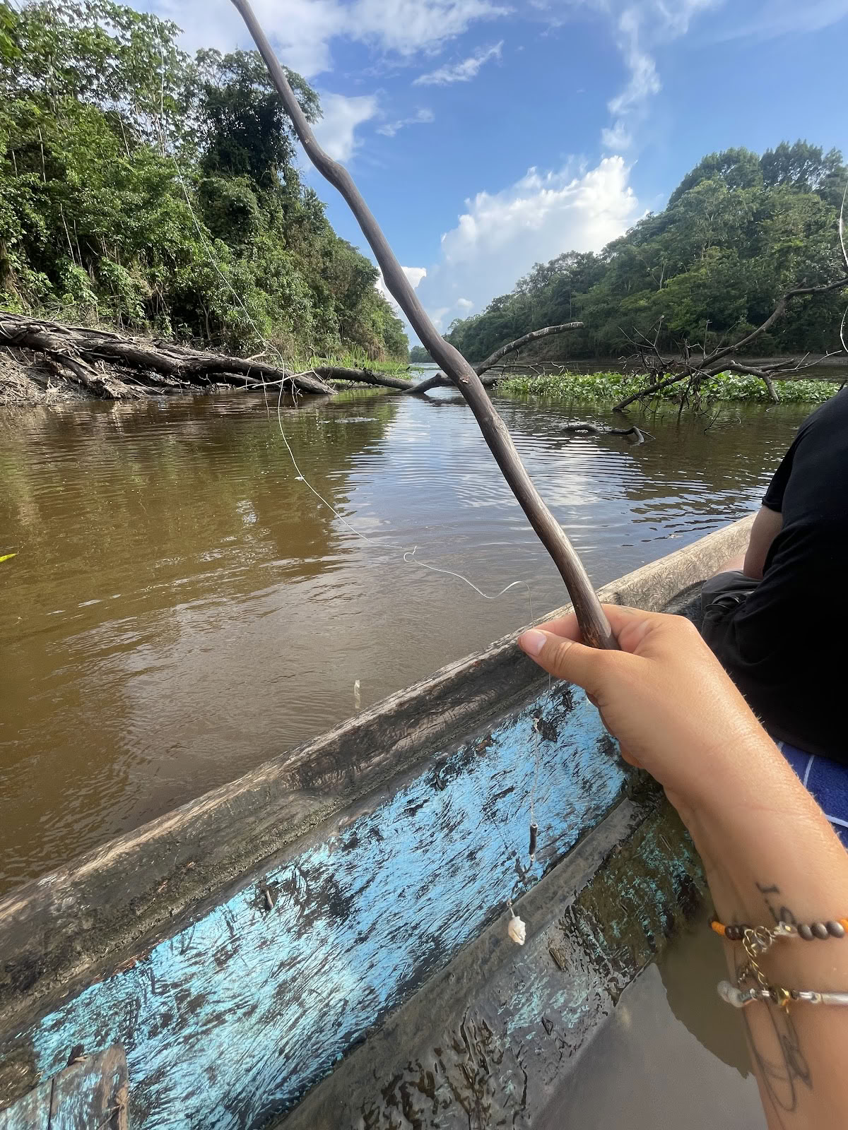 Amazon patirtis
