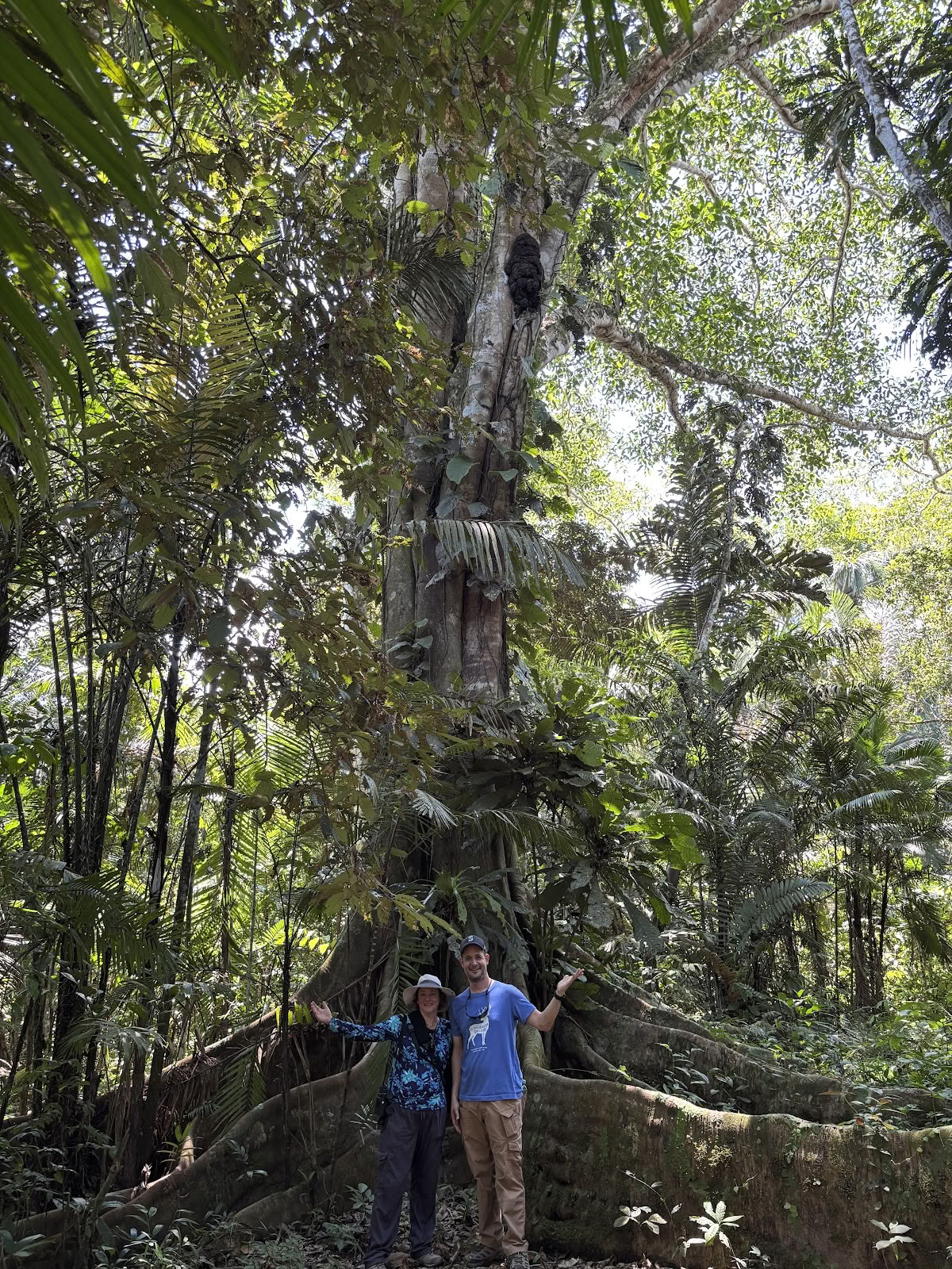 Amazon patirtis