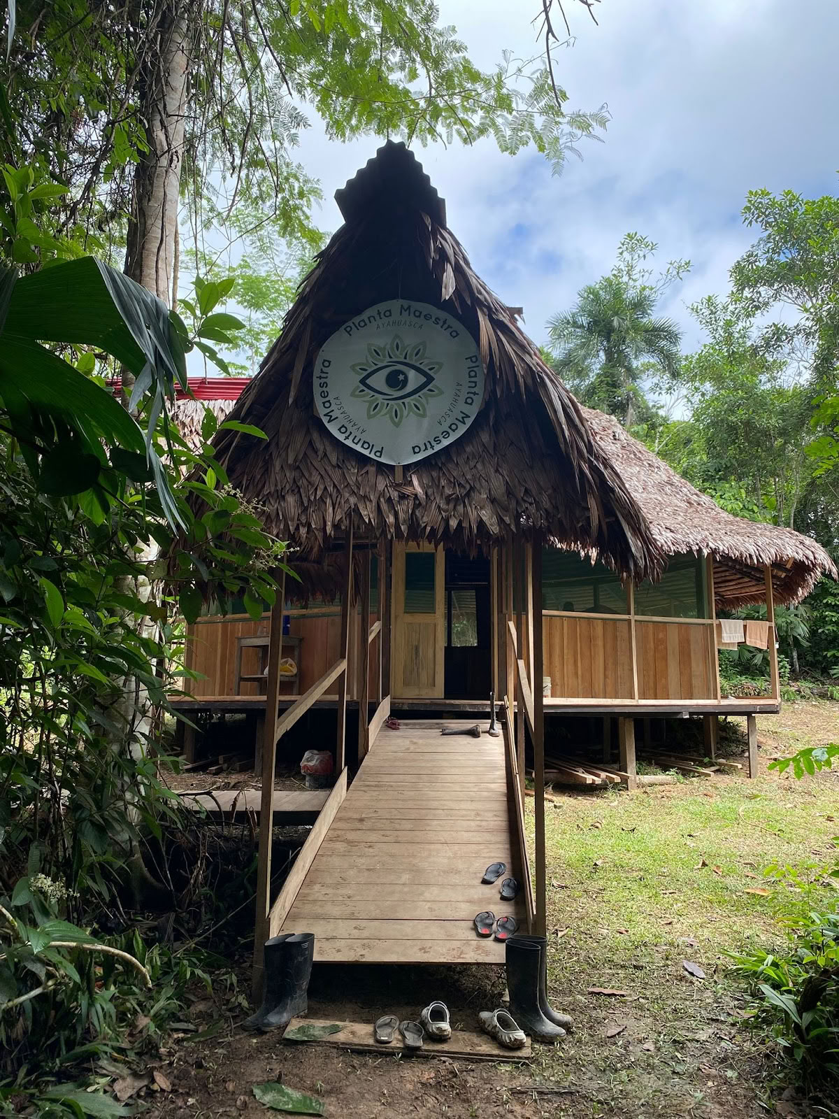 Planta Maestra Ayahuasca Gydymo Centras, Iquitos Peru