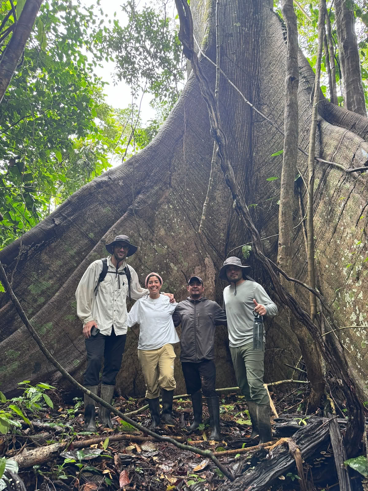 Planta Maestra Ayahuasca Gydymo Centras, Iquitos Peru