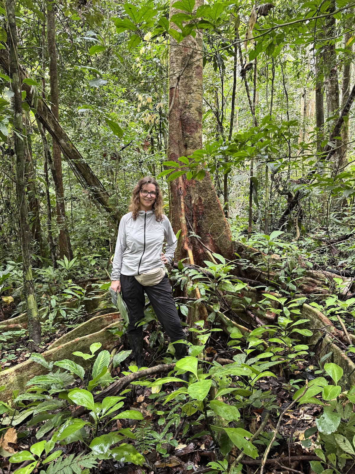 Planta Maestra Ayahuasca Gydymo Centras, Iquitos Peru