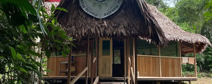 Planta Maestra Ayahuasca Gydymo Centras, Iquitos Peru