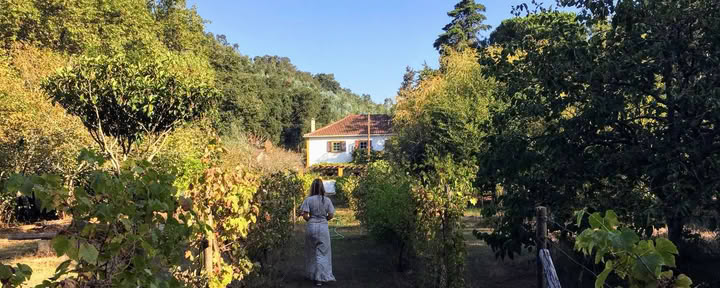 The Shanti Space