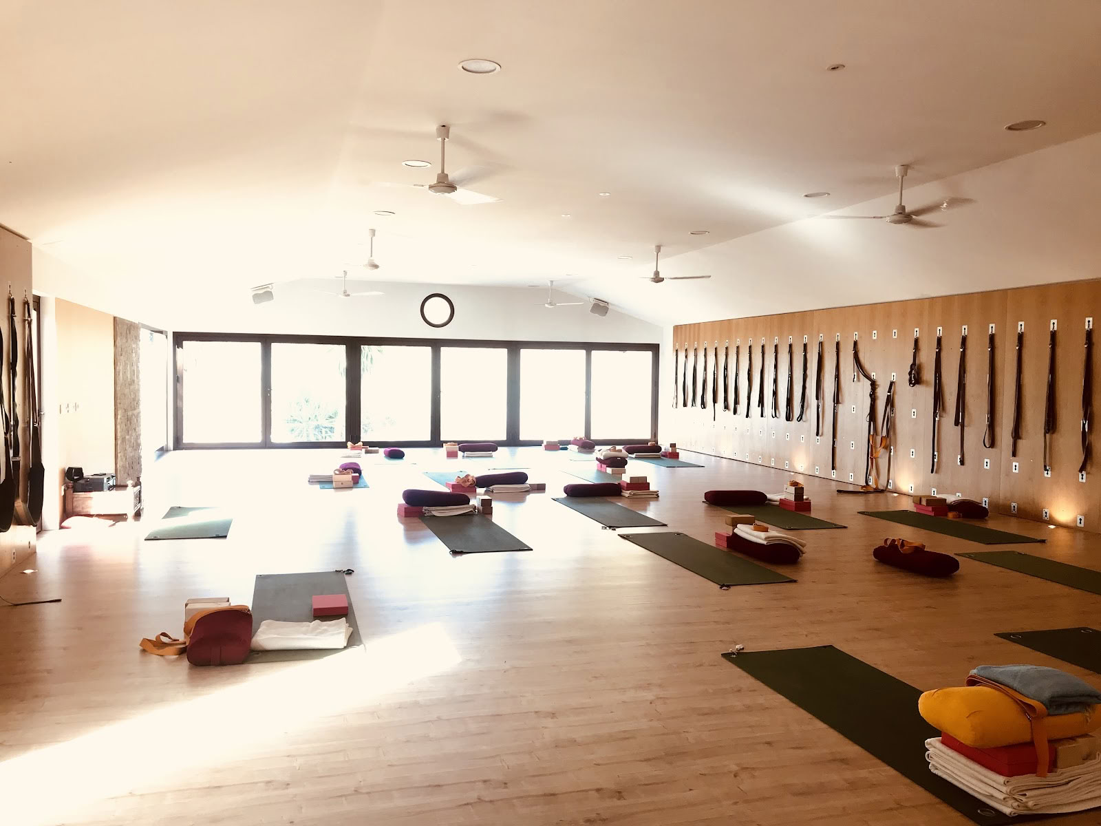 Rachel Lovegrove joga