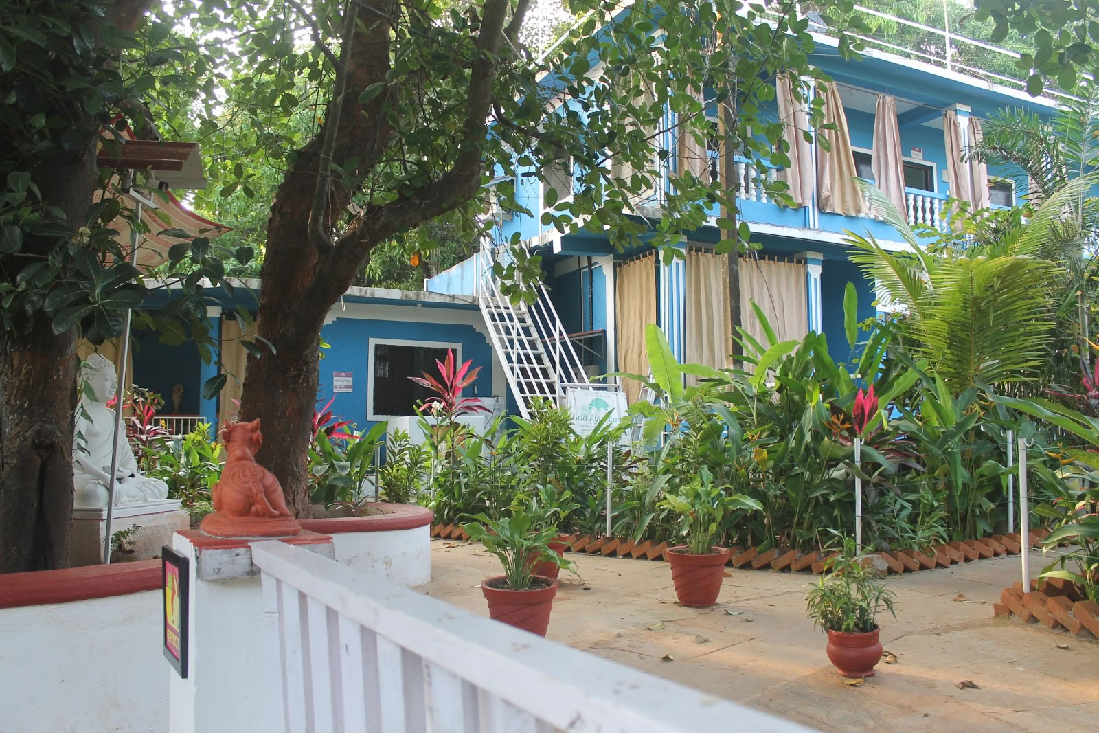Preksha joga