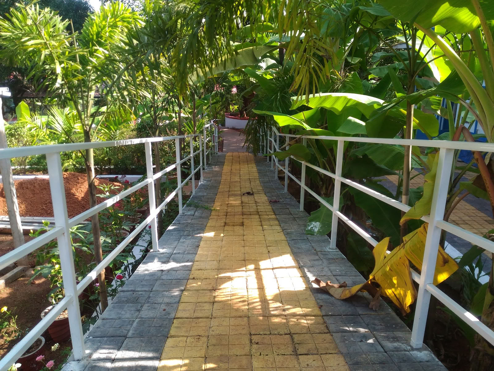 Preksha joga