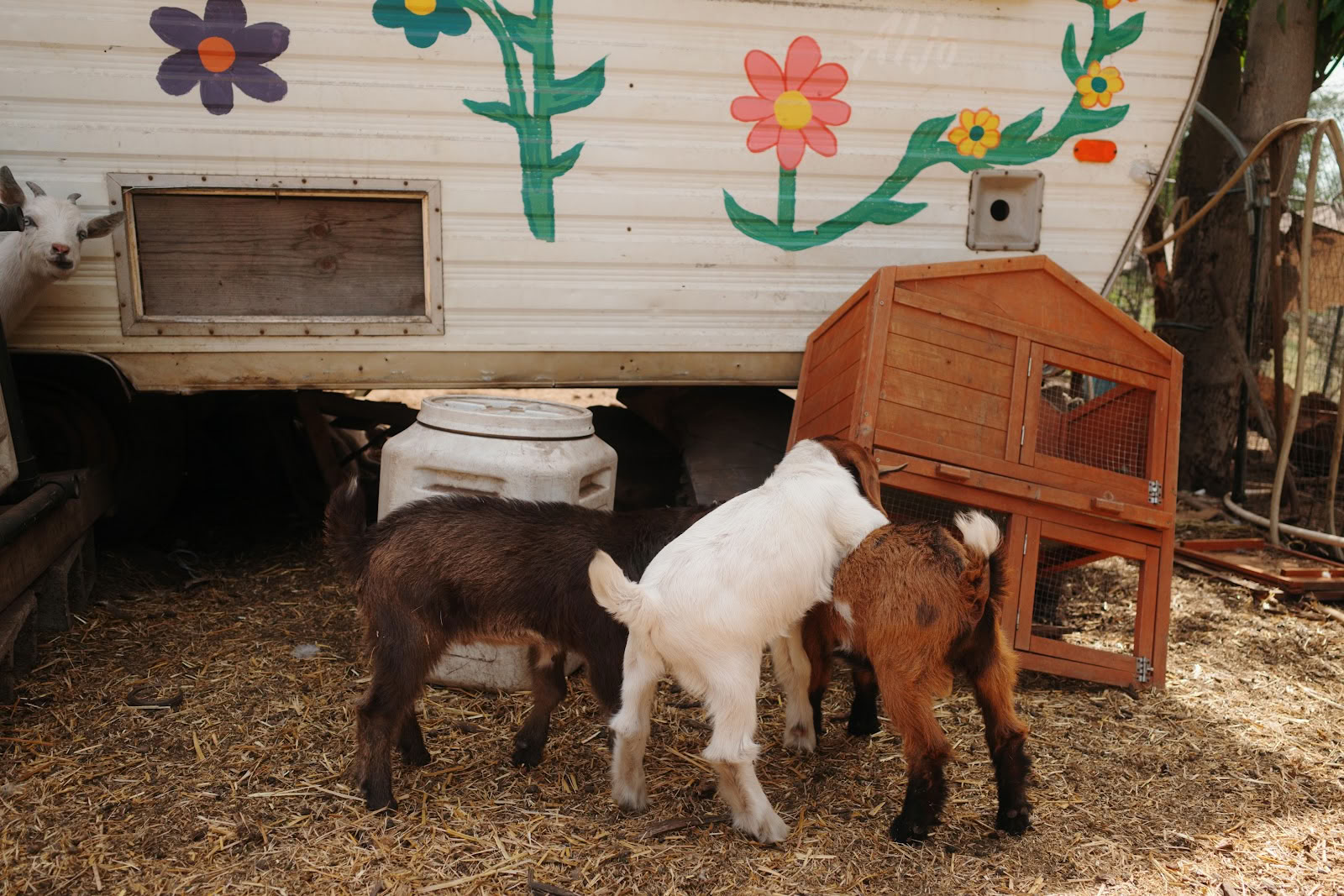 Splitrock Farm ir retritas
