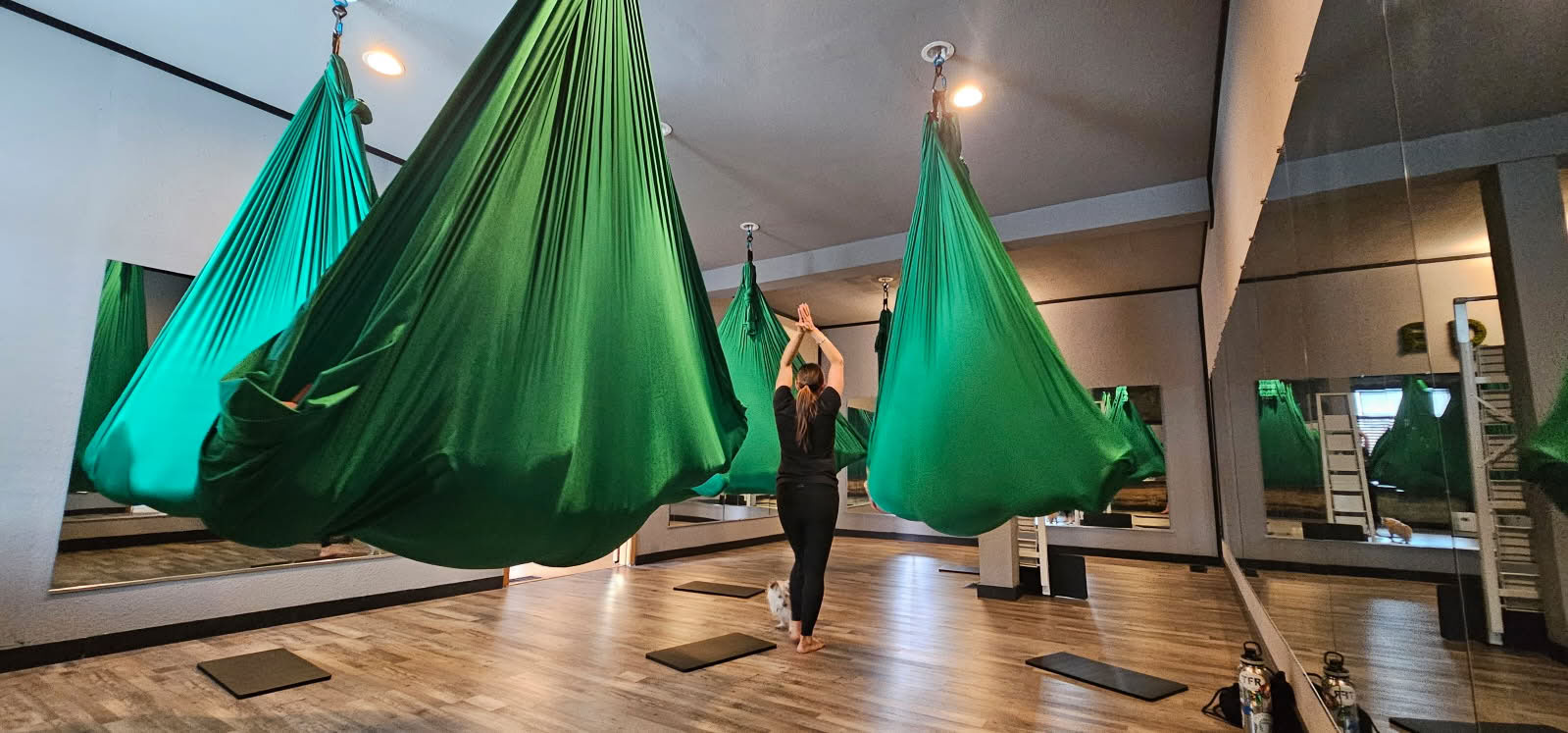 Pure joga