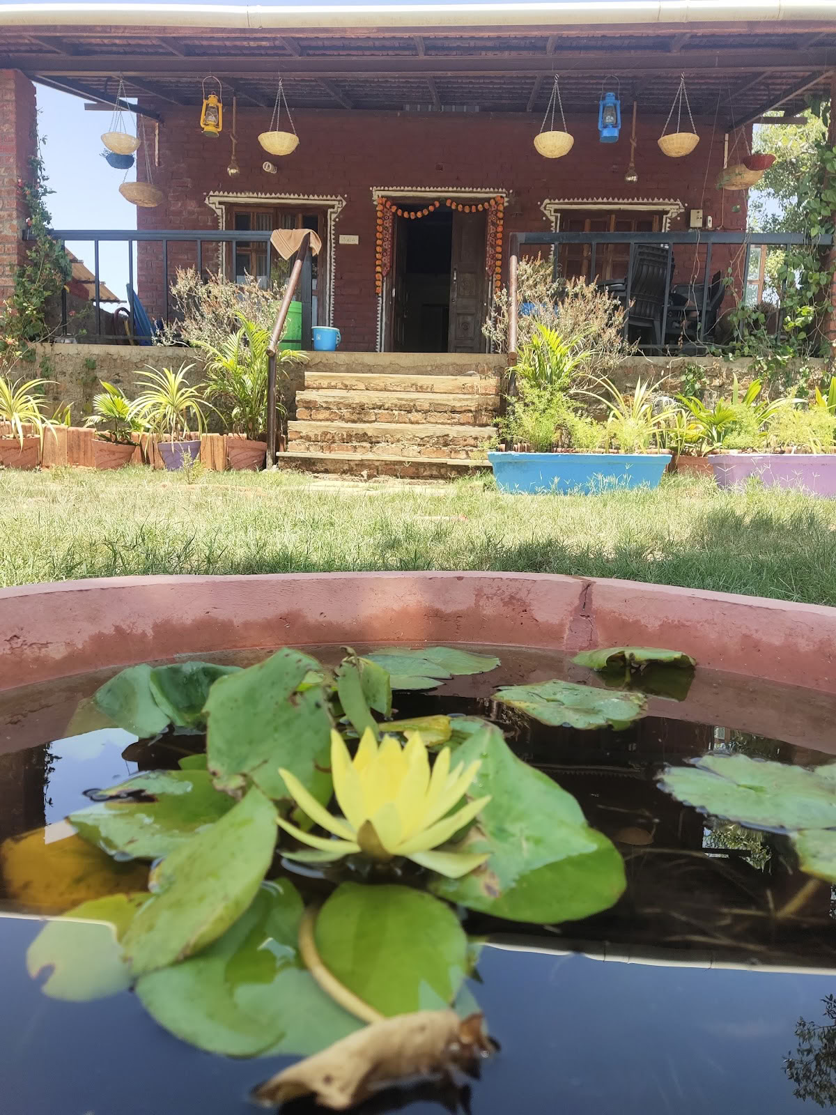 SiddhaDham - Sodybos viešnagė ir sveikatingumo retritas - Nashik / Igatpuri