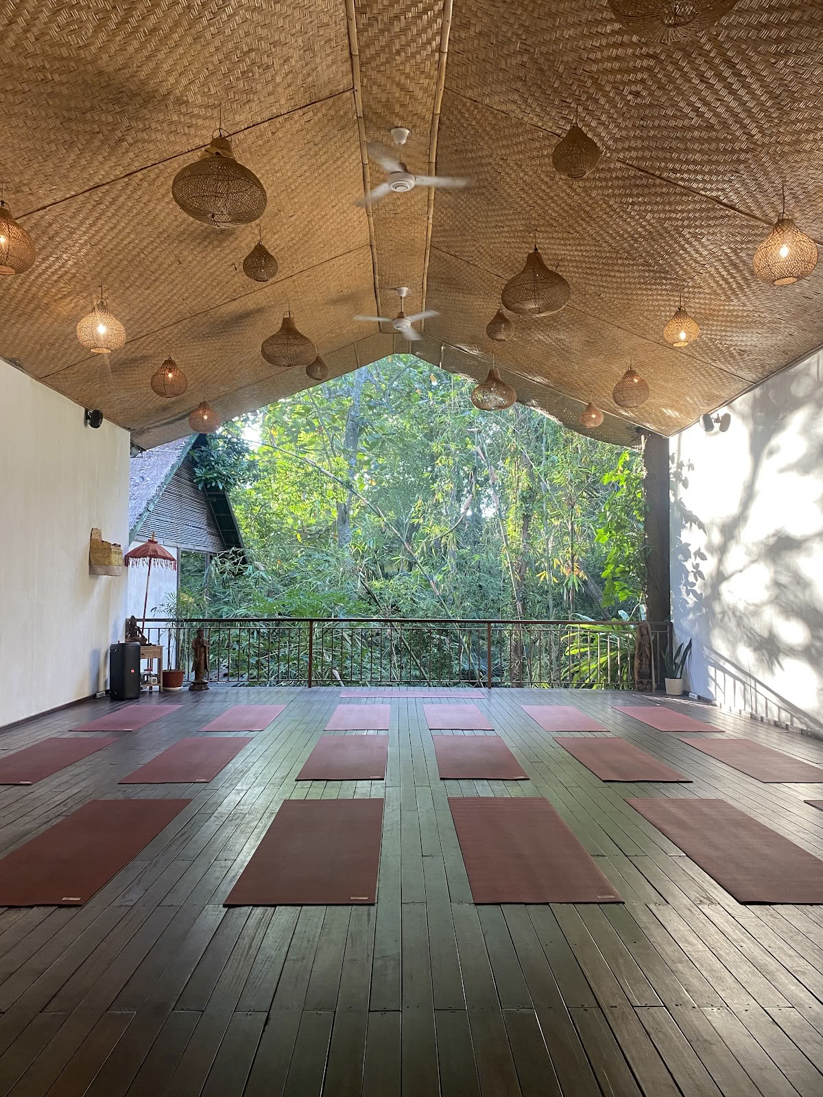 Radiantly Alive Joga