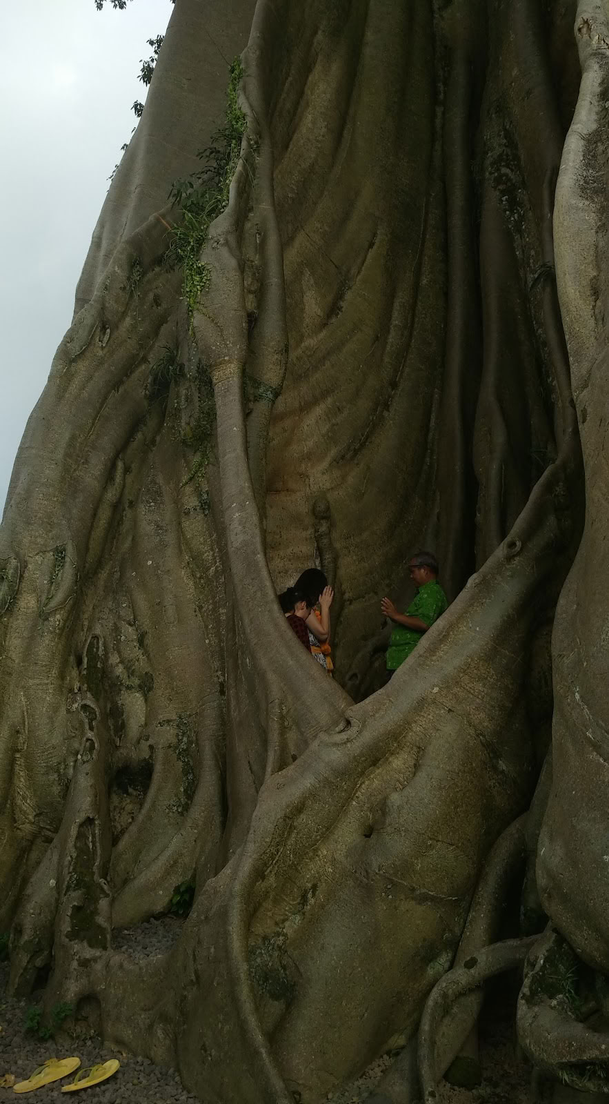 Bali sveikatingumo ir kultūros retritas by Taman Usada Bali