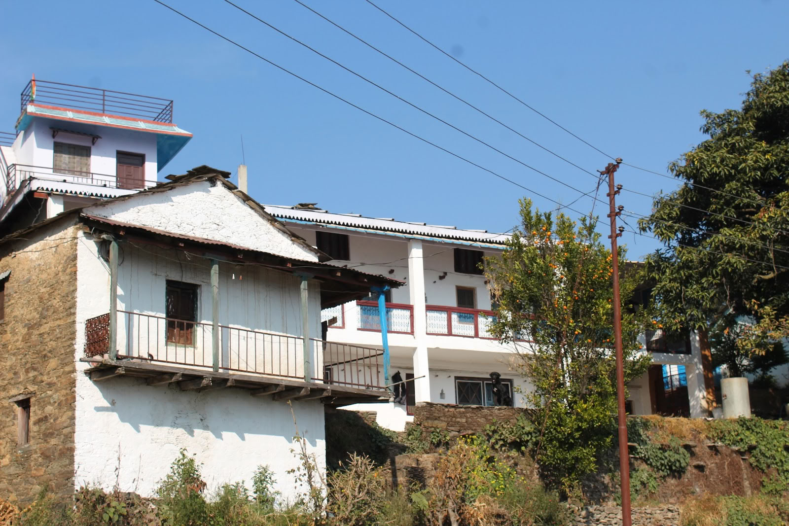 Swami Rama iniciatyva