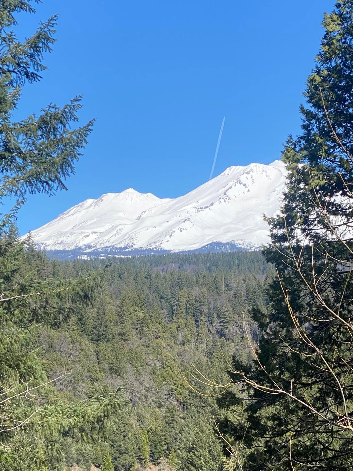 Pachamama Šventieji Keliai