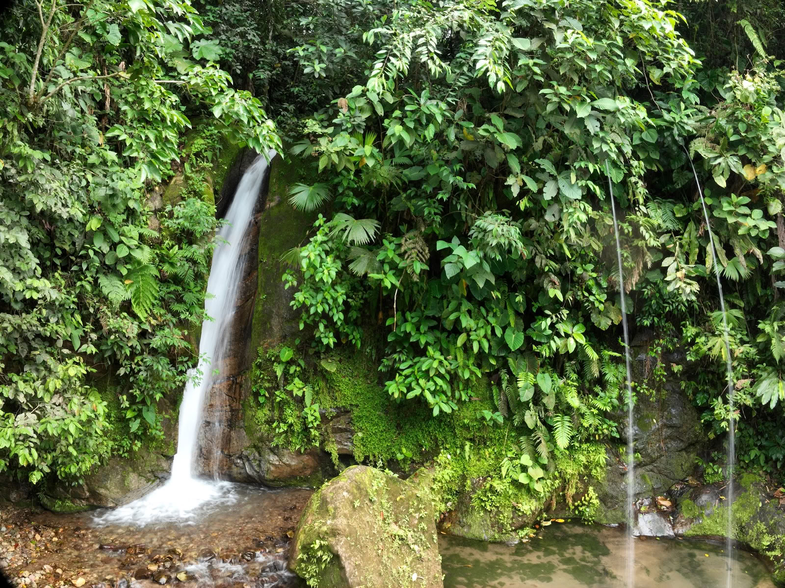 Mahadevi Ayahuasca retritas Kolumbija