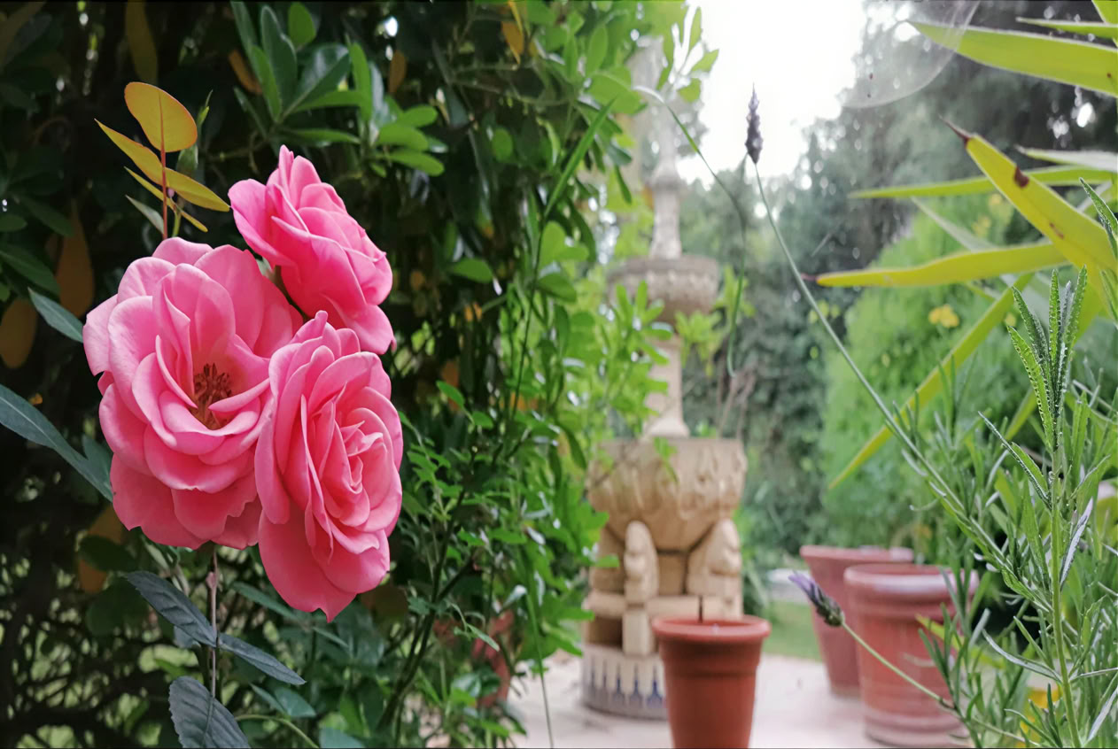 Casa Colibrí (Holistinė sveikata)
