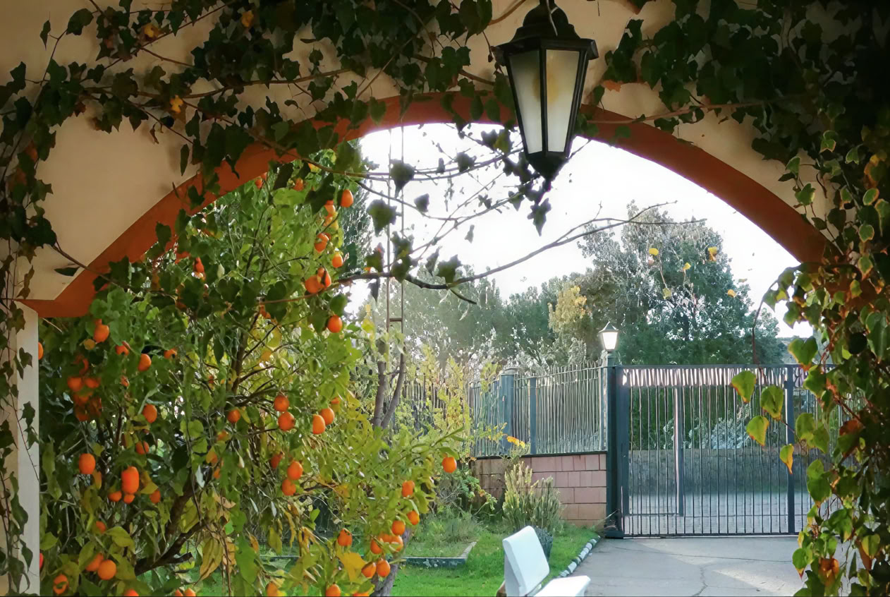 Casa Colibrí (Holistinė sveikata)