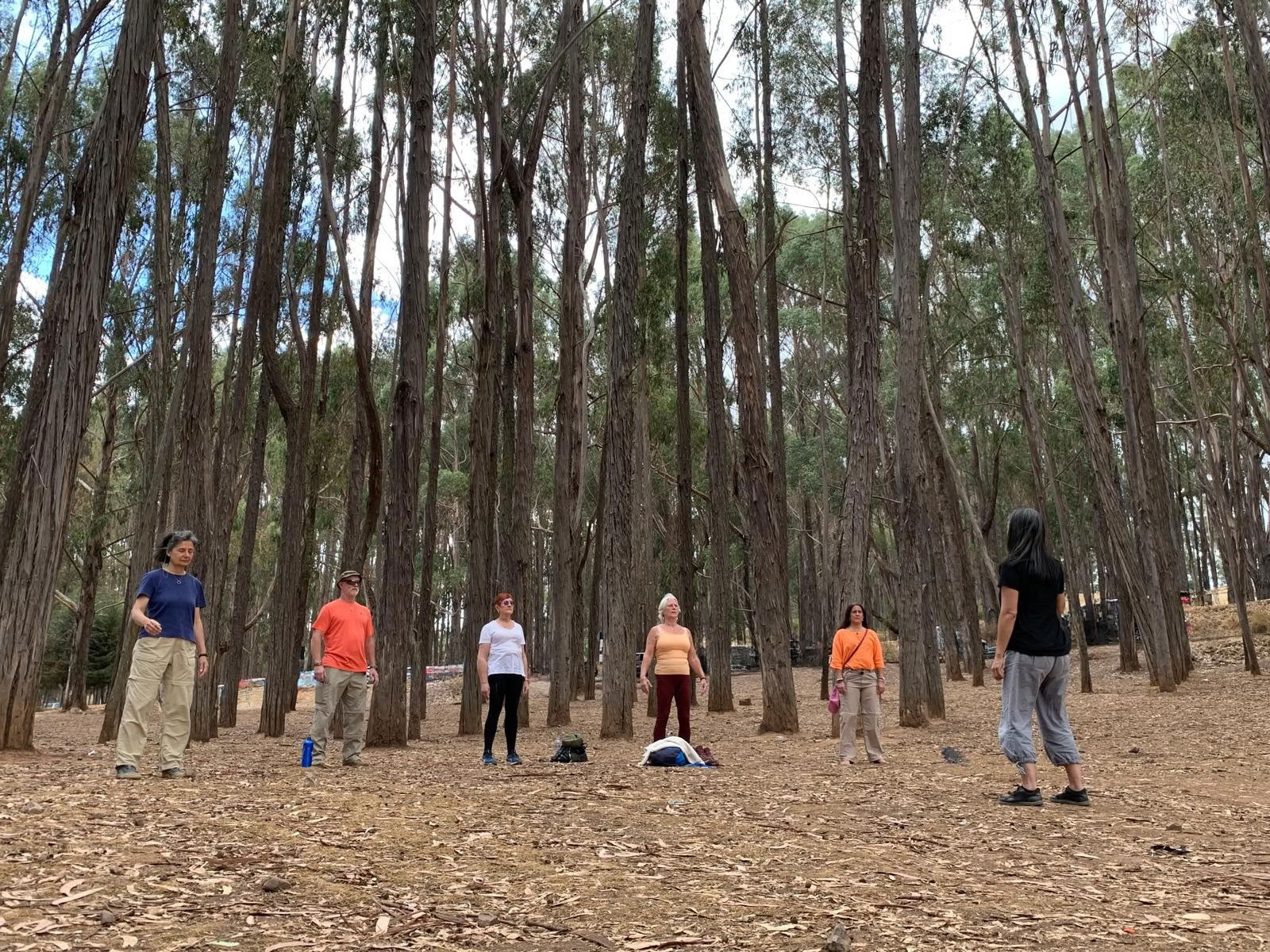 Balance Holistic Retritas Peru