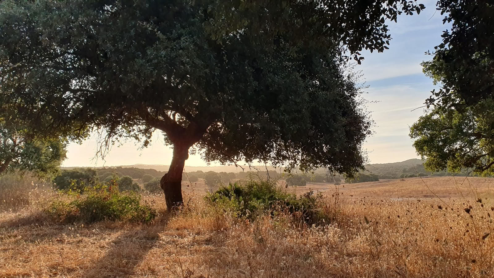 Joga su María | Sotogrande
