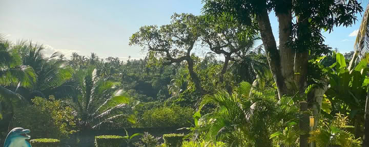 Ayahuasca retritas Brazilijoje
